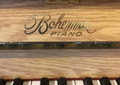 Bohemia 111 Nova embleem