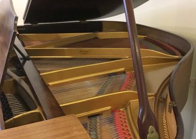 Monington en Weston vleugel klep open