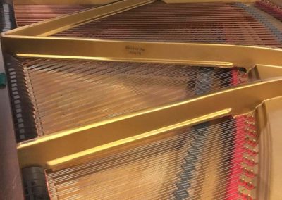 Monington en Weston vleugel snaren