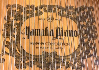 Yamaha C3ED merk op zangbodem
