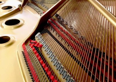 Yamaha C3ED pantserraam en besnaring